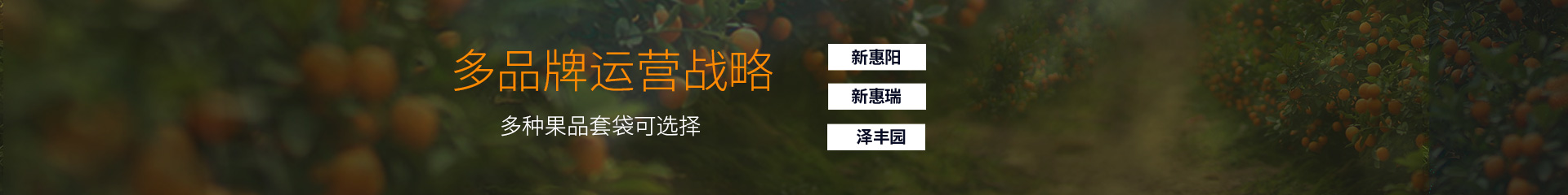 新惠瑞桃子果袋（平纹单层）